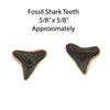 Alchemia Fossil Shark Tooth Post Earrings - Deep Force