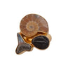 Alchemia Multi-Fossil Adjustable Ring - Timeless Treasures
