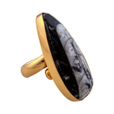 Alchemia Orthoceras Adjustable Ring