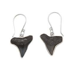 Sterling Silver Fossil Shark Tooth Drop Earrings - Ocean Warrior