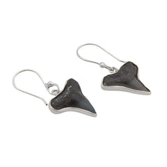 Sterling Silver Fossil Shark Tooth Drop Earrings - Ocean Warrior