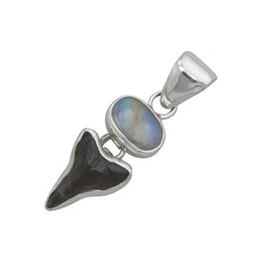 Sterling Silver Fossil Shark Tooth & Rainbow Moonstone Pendant - Lunar Depths