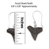 Sterling Silver Fossil Shark Tooth Drop Earrings - Ocean Warrior