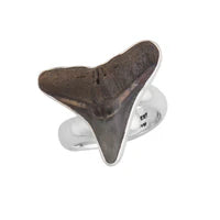 Sterling Silver Fossil Shark Tooth Adjustable Ring - Timeless Strength