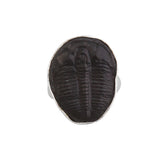 Sterling Silver Trilobite Fossil Adjustable Ring