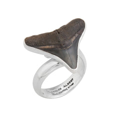 Sterling Silver Fossil Shark Tooth Adjustable Ring - Timeless Strength