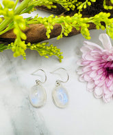 Sterling Silver Rainbow Moonstone Oval Drop Earrings - Clair de Luna