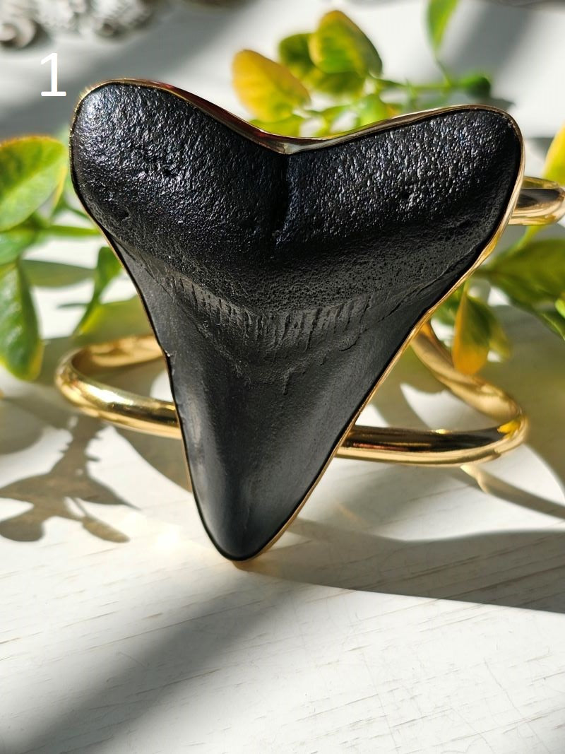 ALCHEMIA FOSSIL SHARK TOOTH DOUBLE BAND CUFF