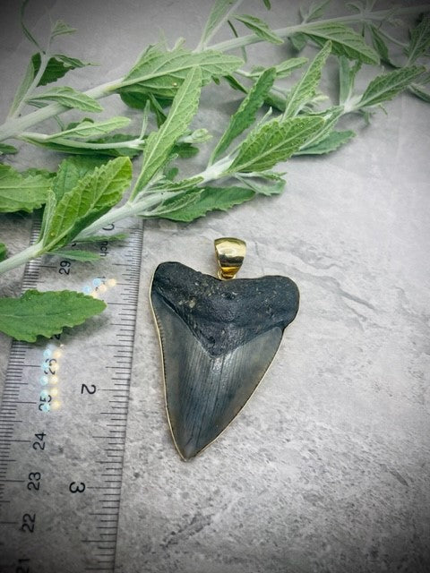 ALCHEMIA MEDIUM FOSSIL SHARK TOOTH PENDANT #2