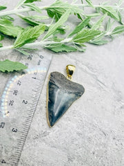 ALCHEMIA MEDIUM FOSSIL SHARK TOOTH PENDANT