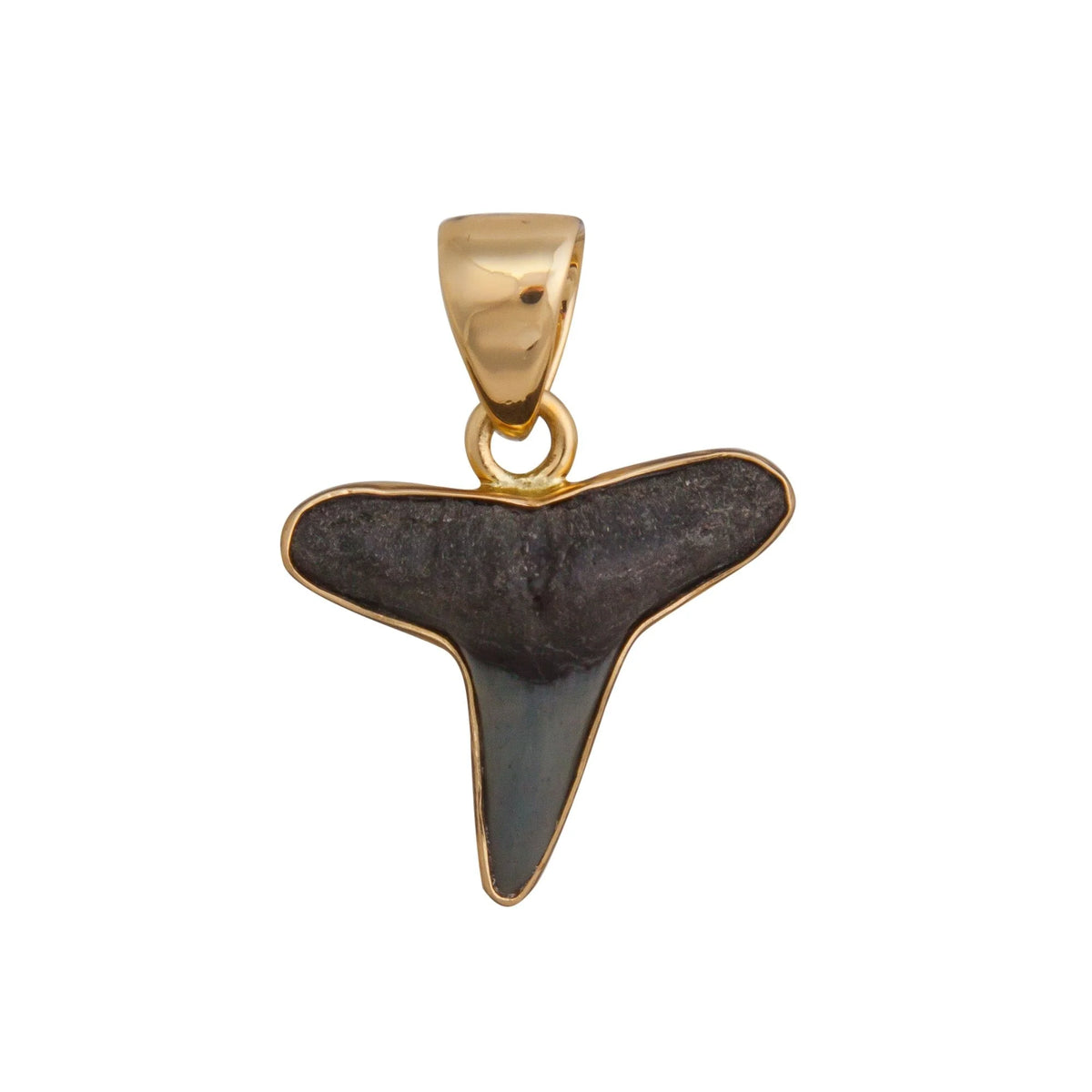 ALCHEMIA MINI SHARK TOOTH PENDANT