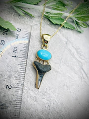 ALCHEMIA TURQUOISE & FOSSIL SHARK TOOTH PENDANT