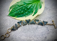 Alchemia Fossil Shark Teeth Bracelet