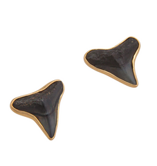 Alchemia Fossil Shark Teeth Post Earrings