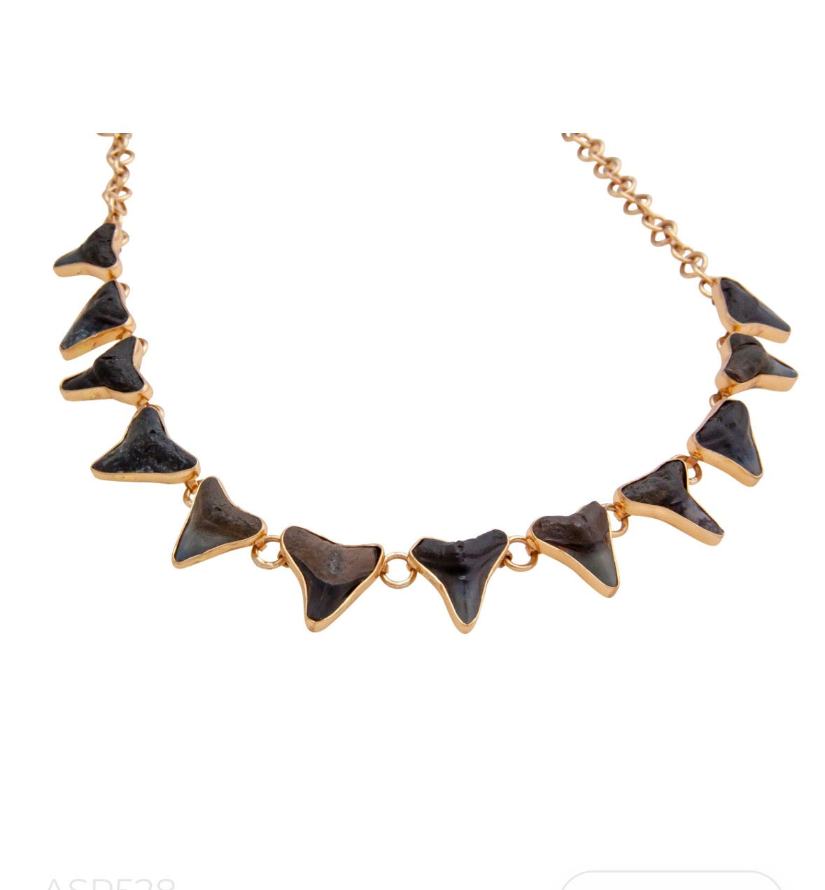 Alchemia Fossil Shark Teeth Necklace