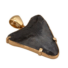 Alchemia Prong Set Shark Tooth Pendant - Primal Force