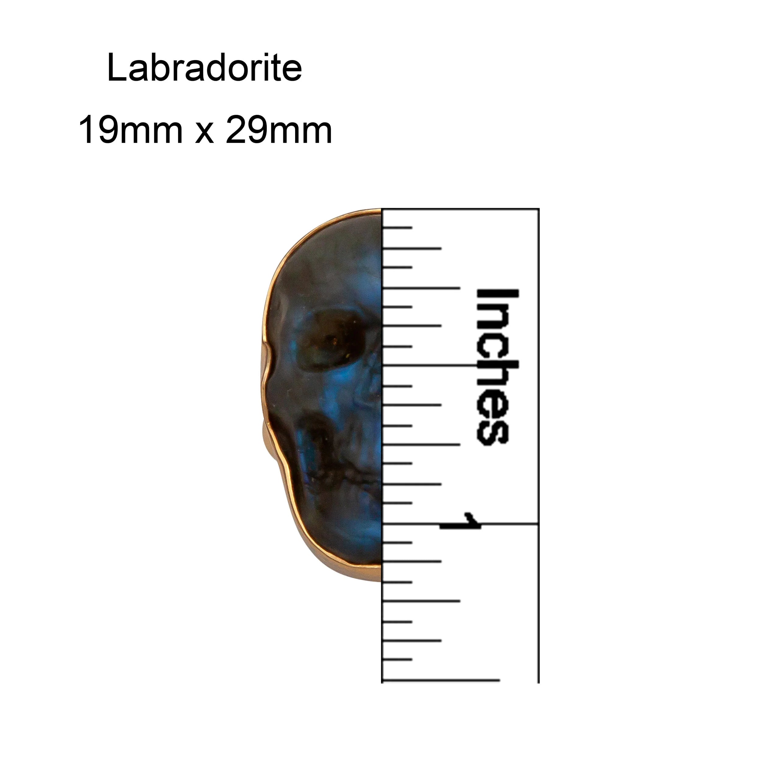 Alchemia Labradorite Skull Adjustable Ring - Small