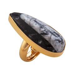 Alchemia Orthoceras Adjustable Ring