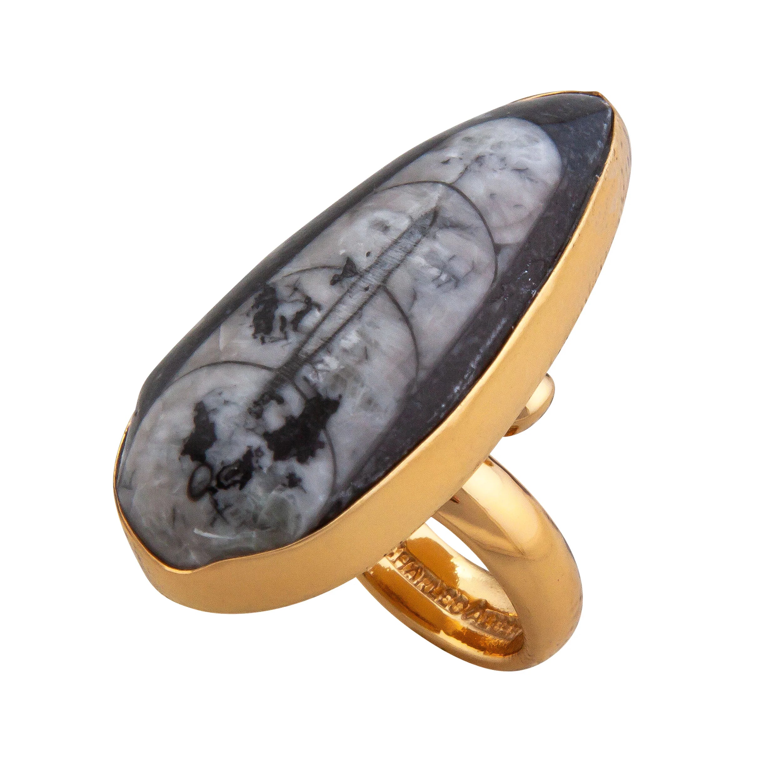 Alchemia Orthoceras Adjustable Ring