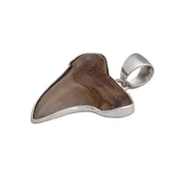 Sterling Silver Fossil Shark Tooth Pendant - Silver Tide