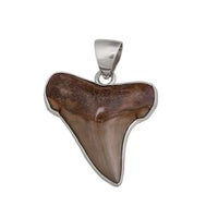 Sterling Silver Fossil Shark Tooth Pendant - Silver Tide