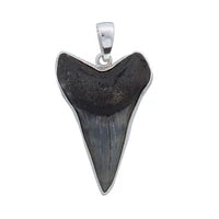 Sterling Silver Fossil Shark Tooth Pendant - Silver Tide