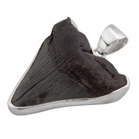 Sterling Silver Fossil Shark Tooth Pendant - Silver Tide