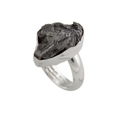Sterling Silver Meteorite Adjustable Ring