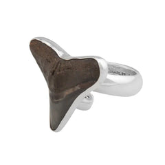 Sterling Silver Fossil Shark Tooth Adjustable Ring - Timeless Strength