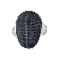 Sterling Silver Trilobite Fossil Adjustable Ring