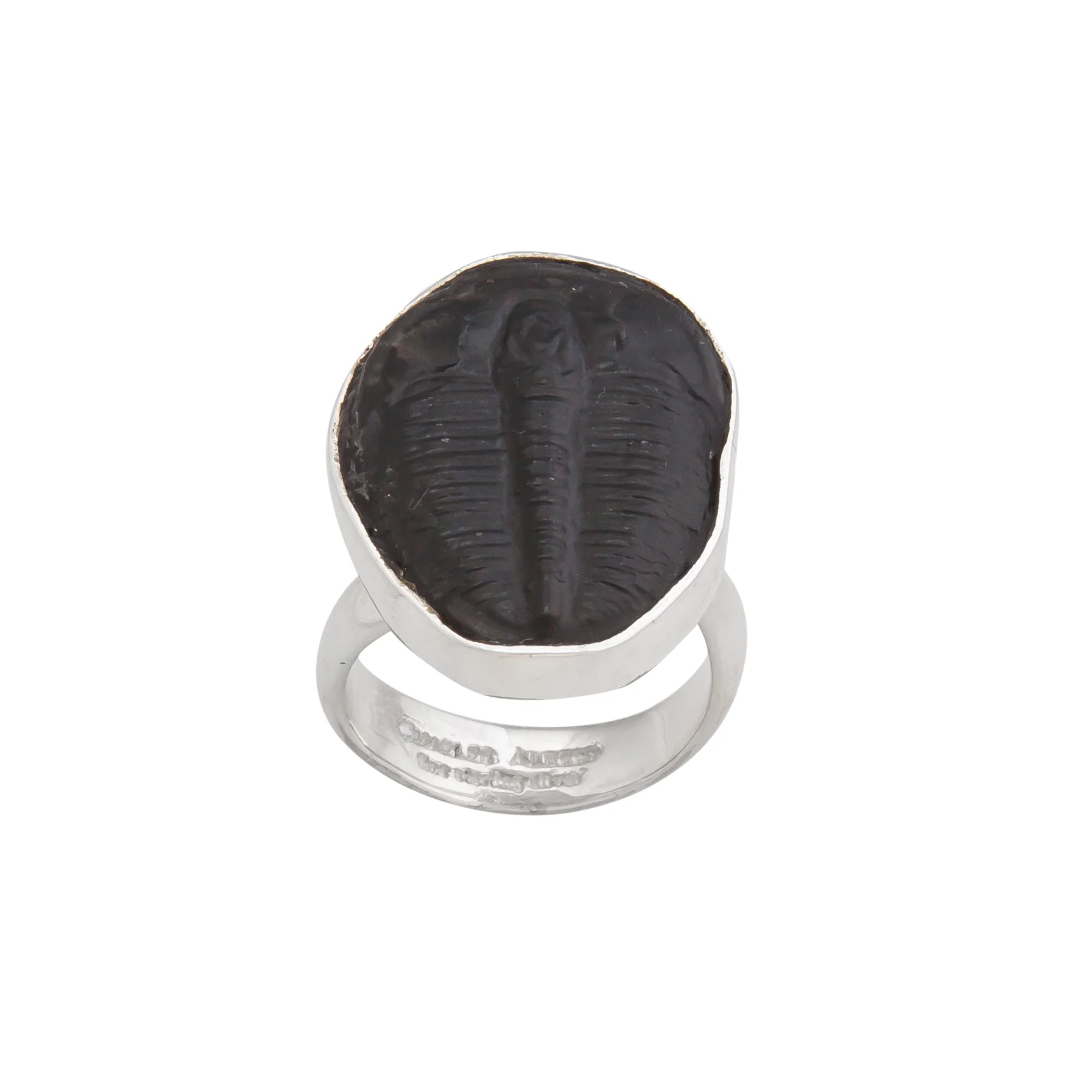Sterling Silver Trilobite Fossil Adjustable Ring