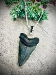 STERLING SILVER FOSSIL SHARK TOOTH WITH STING RAY SKIN PENDANT