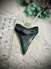 STERLING SILVER LARGE FOSSIL SHARK TOOTH PENDANT