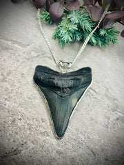 STERLING SILVER LARGE FOSSIL SHARK TOOTH PENDANT