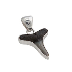 STERLING SILVER MINI SHARK TOOTH PENDANT